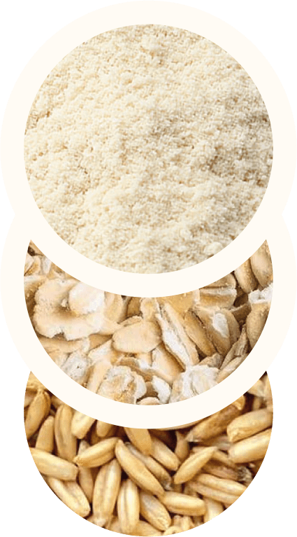 Farine di cereali senza glutine