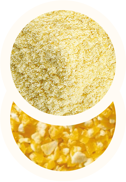 Farine di cereali senza glutine