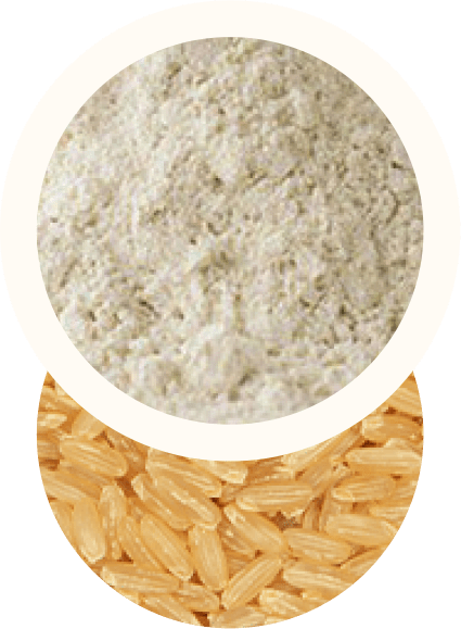 Farine di cereali senza glutine