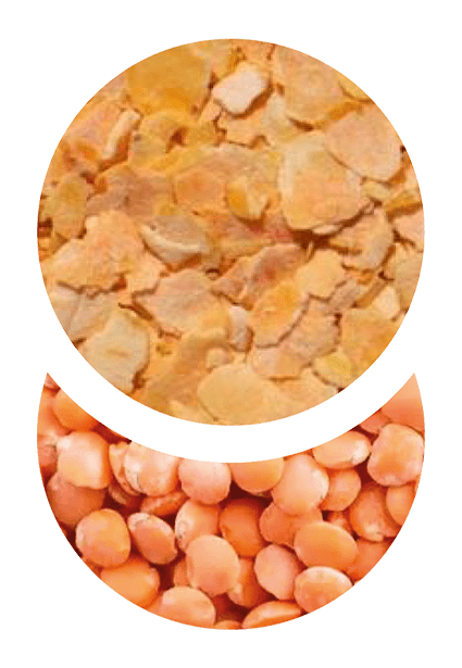 FIOCCHI DI LENTICCHIE ROSSE